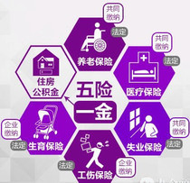 信息咨詢服務的價格、批發(fā)與廠家指南