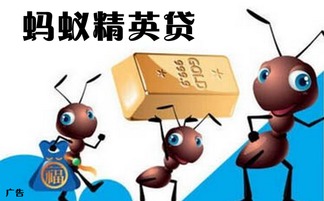 陜西興海普惠信息咨詢(xún)服務(wù)有限旬陽(yáng)分公司 專(zhuān)業(yè)信息咨詢(xún)服務(wù)的領(lǐng)航者