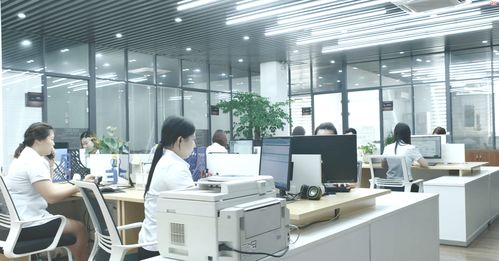 凍干餅干方便食品一站式代加工供求信息平臺(tái)與咨詢(xún)服務(wù)